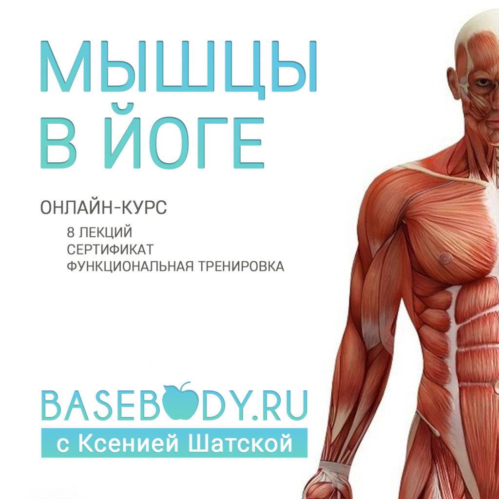 "Курсы" - Реклама мышцы